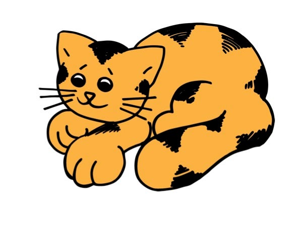 Cat Toys | Cat aMEWsement
