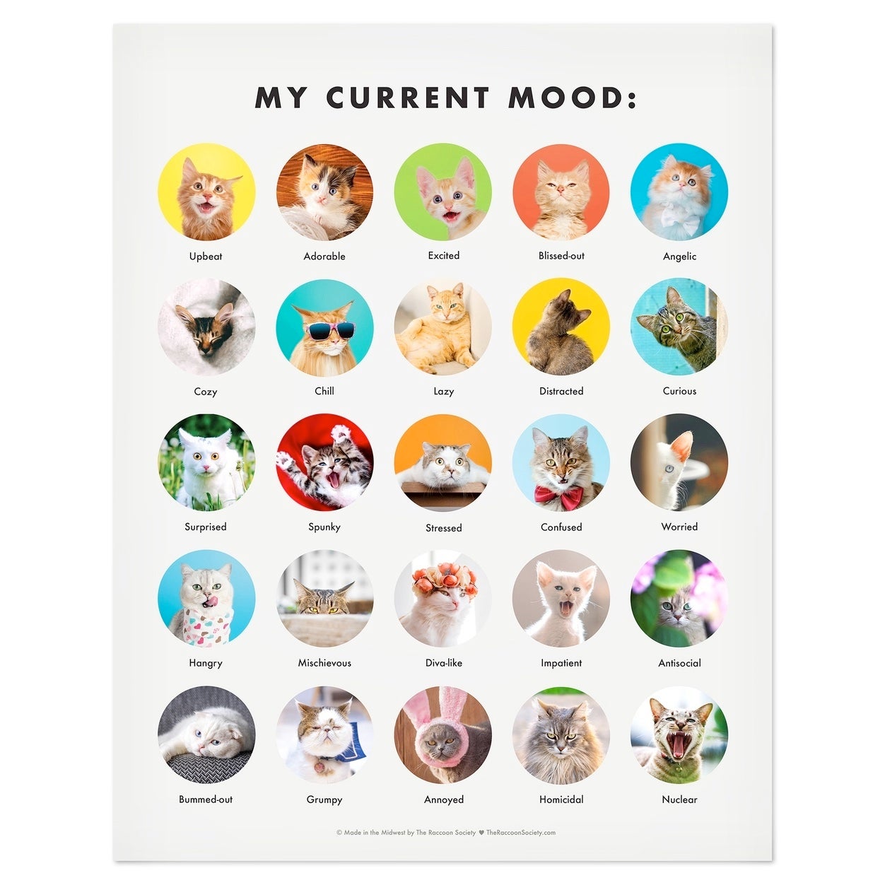 Funny Cat Moods Chart By The Raccoon Society Cat AMEWsement Funny Cat Moods Chart By The Raccoon Society Cat AMEWsement