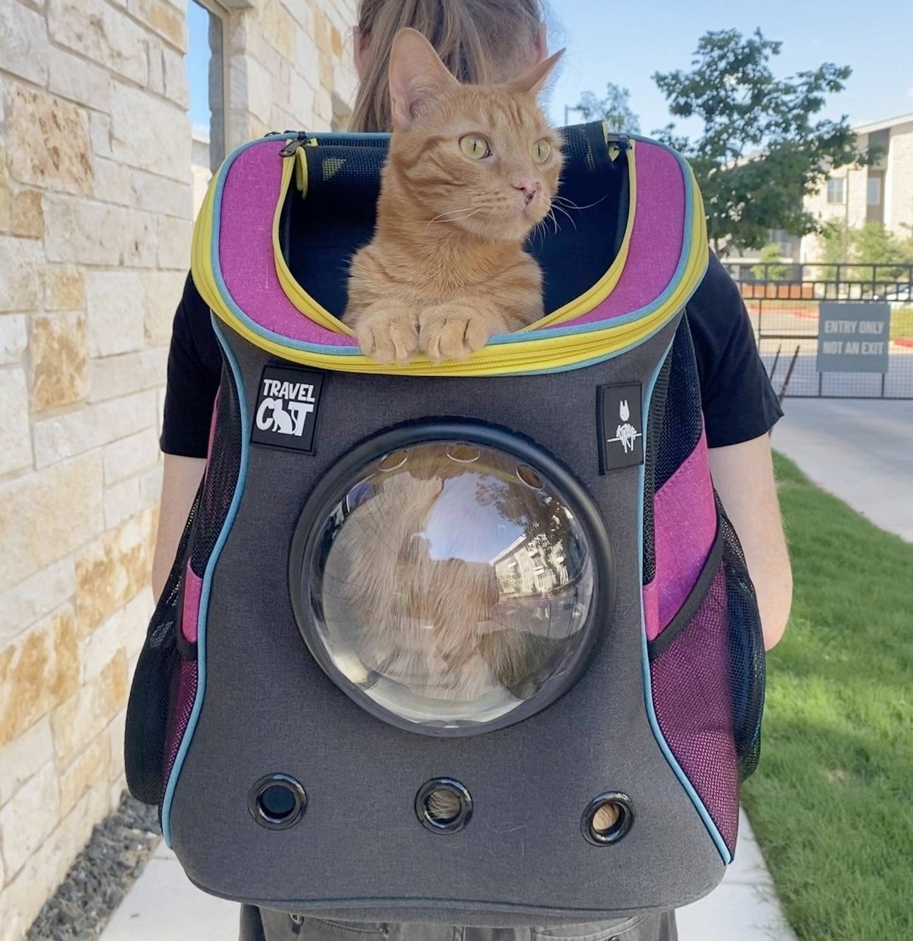 Fat Cat Stray x Limited Edition Travel Cat Backpack for Large Cats by Travel Cat Cat aMEWsement