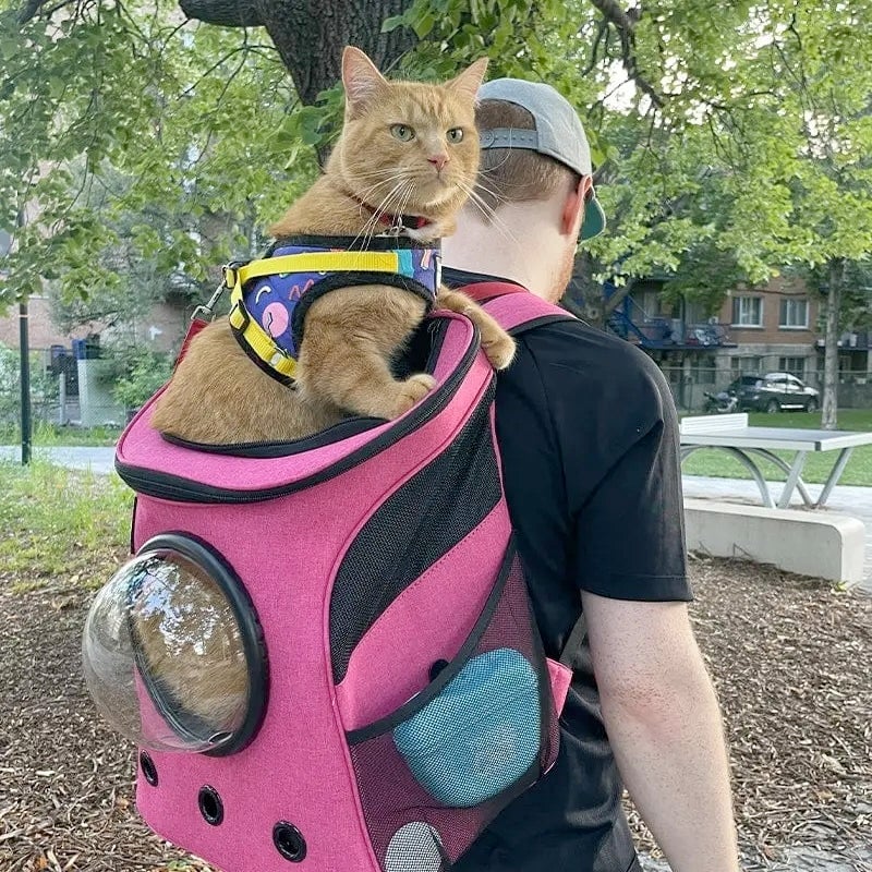 Fat Cat Cat Backpack for Large Cats Deep Rose Pink by Travel Cat Cat aMEWsement