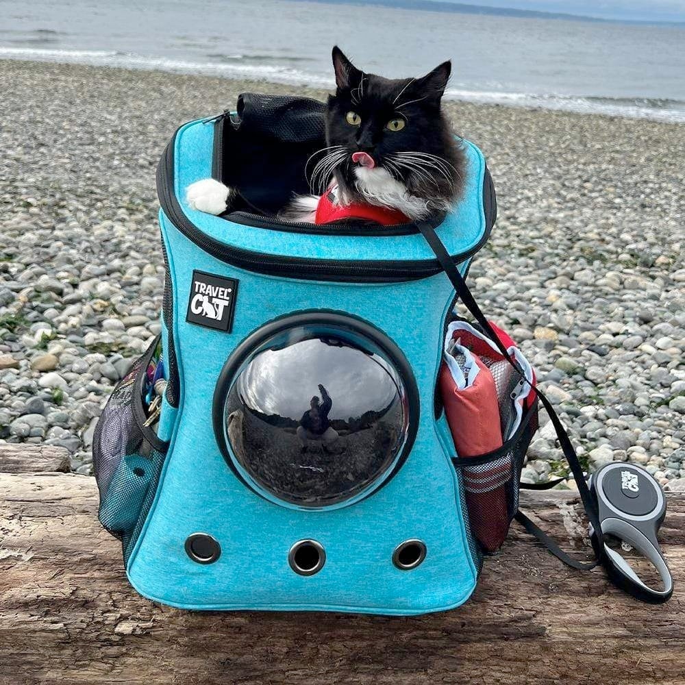 Fat Cat Cat Backpack for Large Cats Aqua by Travel Cat Cat aMEWsement