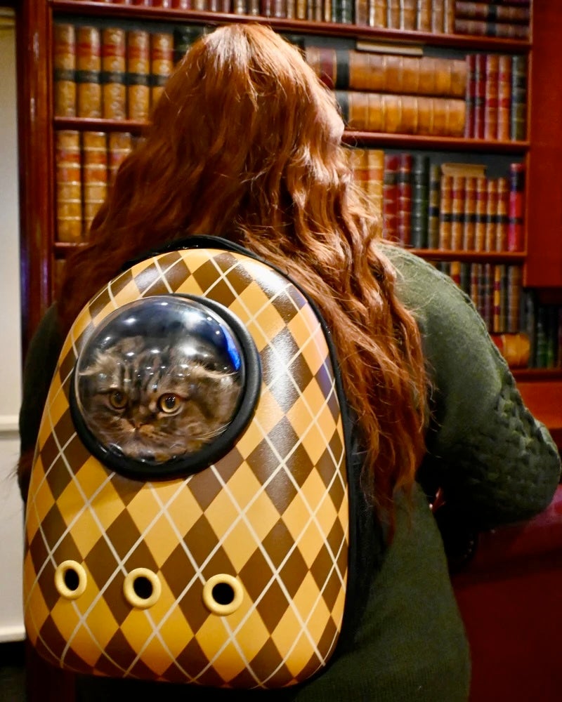 Argylle x Travel Cat Replica Cat Backpack Officially Licensed by Travel Cat Cat aMEWsement