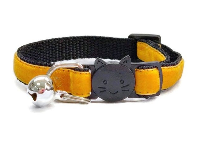 Kitten Collars Cat aMEWsement